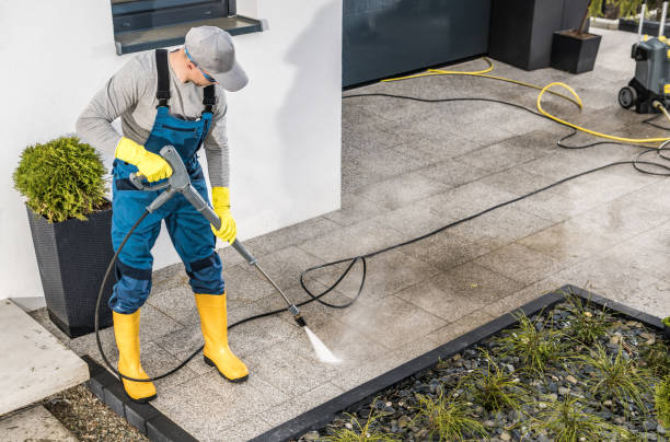 Best Roof Pressure Washing  in Corcoran, MN