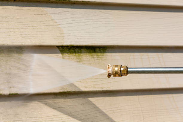 Best Roof Pressure Washing  in Corcoran, MN